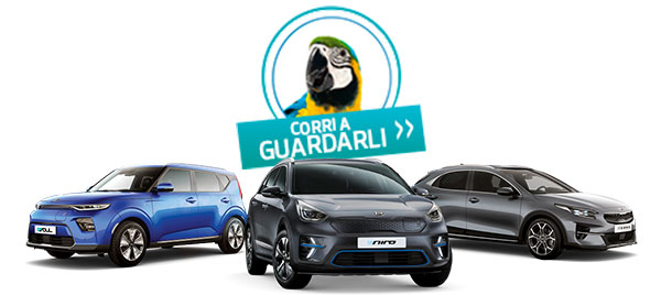 Una gamma incredibile